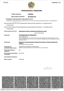 Лицензия Лицензия