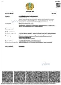 Лицензия Лицензия