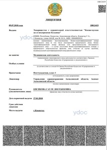 Лицензия Лицензия