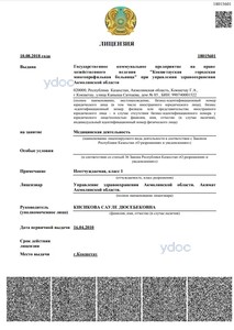 Лицензия Лицензия