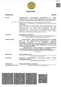 Лицензия Лицензия