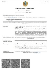 Лицензия Лицензия