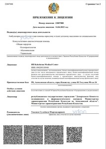 Лицензия Лицензия