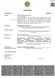 Лицензия Лицензия