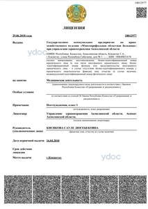 Лицензия Лицензия