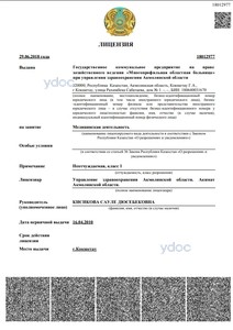 Лицензия Лицензия