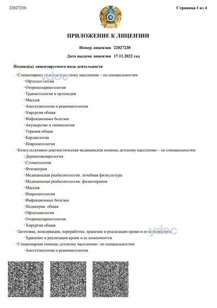 Лицензия Лицензия