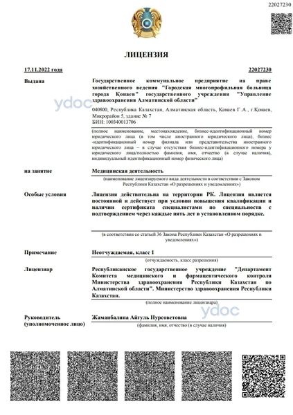 Лицензия Лицензия