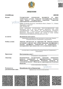 Лицензия Лицензия