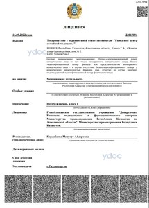 Лицензия Лицензия