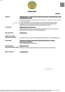 Лицензия Лицензия