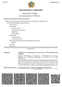 Приложение к лицензии Приложение к лицензии