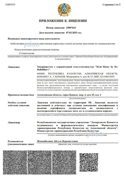 Лицензия Лицензия