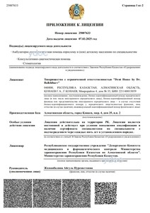 Приложение к лицензии Приложение к лицензии