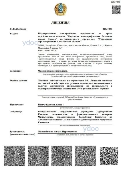 Лицензия Лицензия