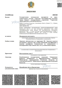 Лицензия Лицензия