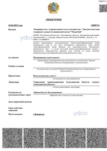 Лицензия Лицензия