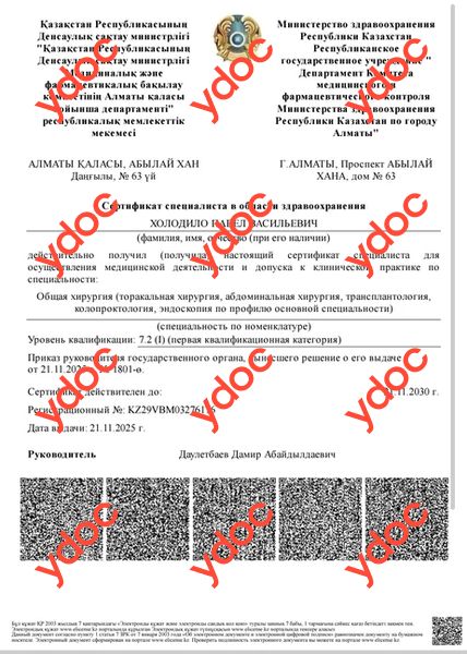 Құжаттар мен фотосуреттер - Холодило П. В.