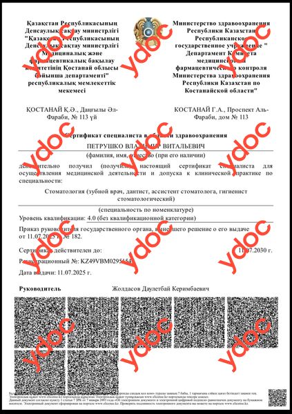 Құжаттар мен фотосуреттер - Петрушко В. В.