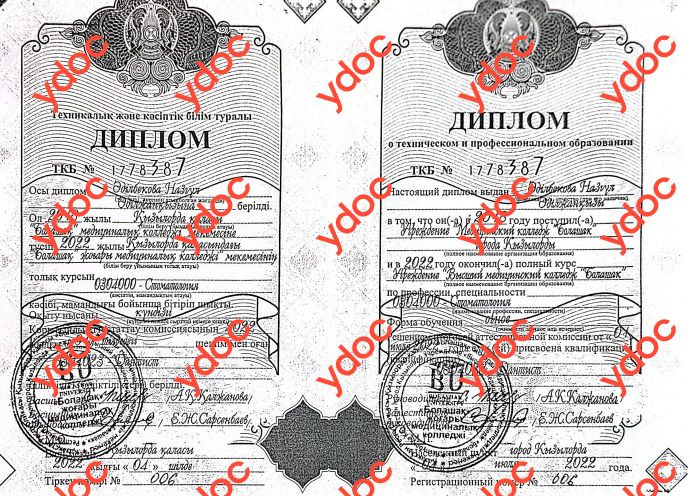 Документы и фотографии - Адильбекова Н. А.