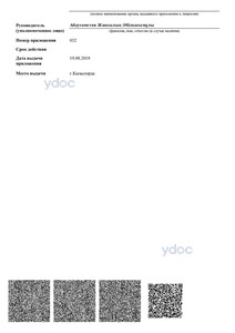 Лицензия Лицензия