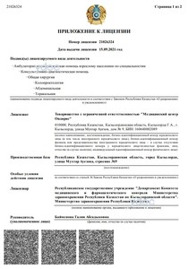 Лицензия Лицензия