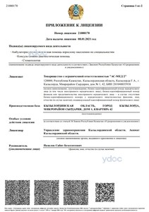 Приложение к лицензии Приложение к лицензии