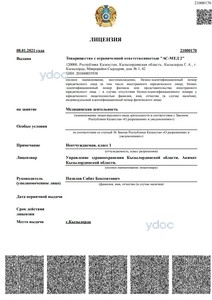 Лицензия Лицензия