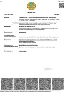 Лицензия Лицензия