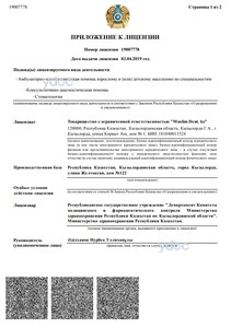 Приложение к лицензии