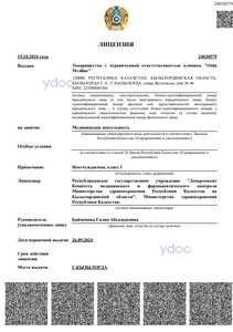 Лицензия Лицензия