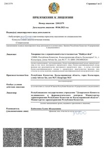 Приложение к лицензии Приложение к лицензии