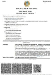 Приложение к лицензии