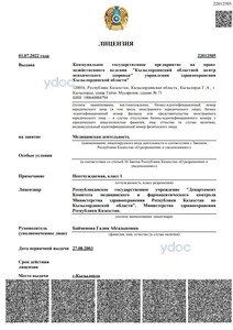 Лицензия Лицензия