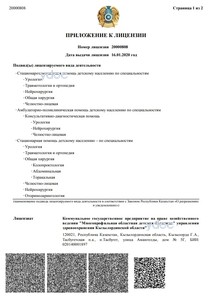 Приложение к лицензии