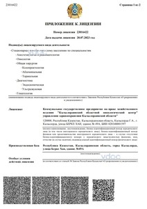 Приложение к лицензии