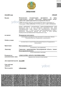 Лицензия Лицензия