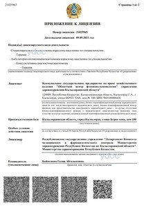 Приложение к лицензии