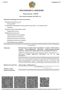 Приложение к лицензии