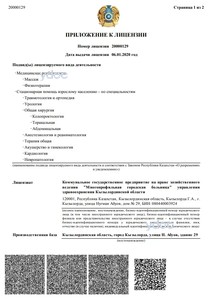 Приложение к лицензии Приложение к лицензии