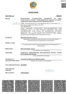 Лицензия Лицензия