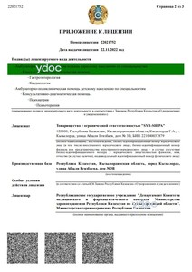 Приложение к лицензии