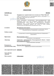 Лицензия Лицензия