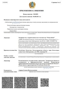 Приложение к лицензии Приложение к лицензии