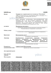 Лицензия Лицензия