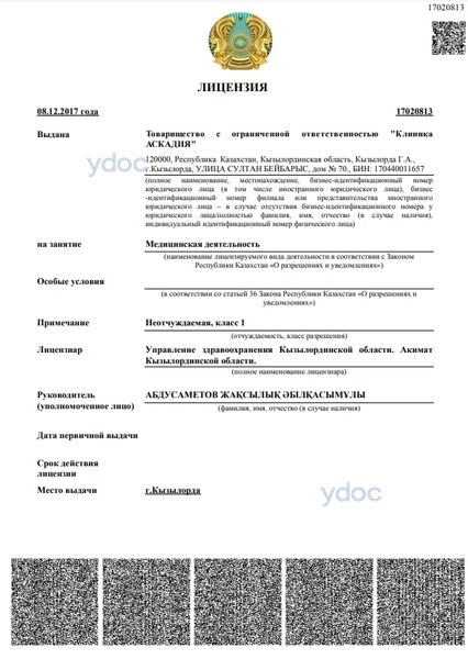 Лицензия Лицензия