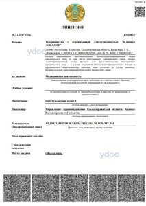 Лицензия Лицензия