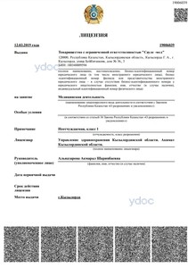 Лицензия Лицензия