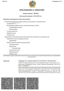 Приложение к лицензии