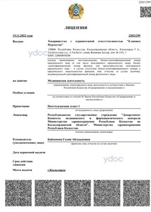 Лицензия Лицензия